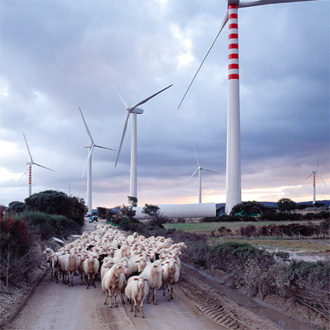 Flaches Land und starker Wind: Windkraftanlagen an der Nordseekste 